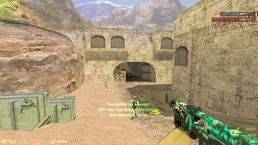 CS 1.6 Professional screenshot 5