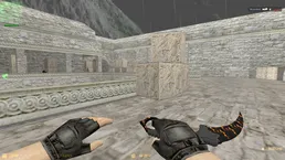 CS 1.6 Professional screenshot 11